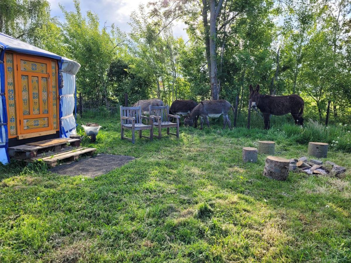 Hotel Slapen Tussen De Ezels In De Yurt Aarschot Exteriér fotografie